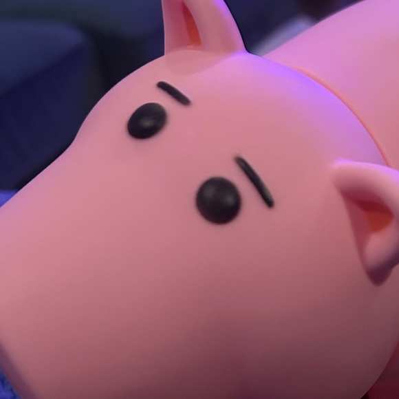 parithepig